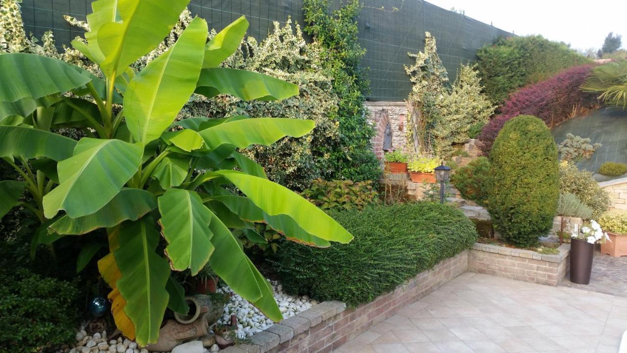 פוסאנו Villa Laura B&B מראה חיצוני תמונה